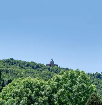 Foto annuncio 39