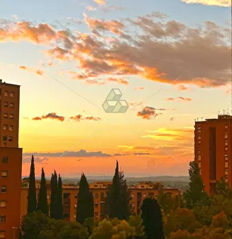Foto annuncio 18