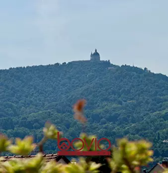 Foto annuncio 62