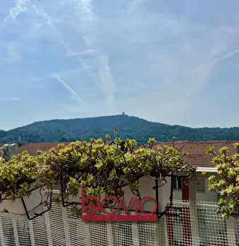 Foto annuncio 64