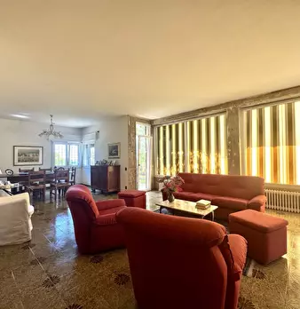 Foto annuncio 7