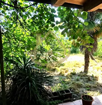 Foto annuncio 37