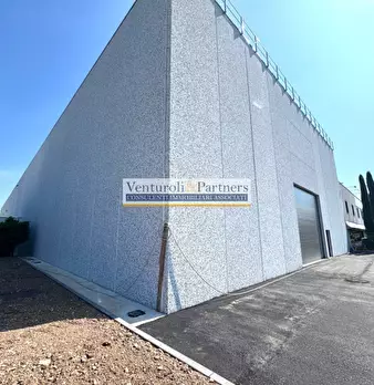 Foto annuncio 5
