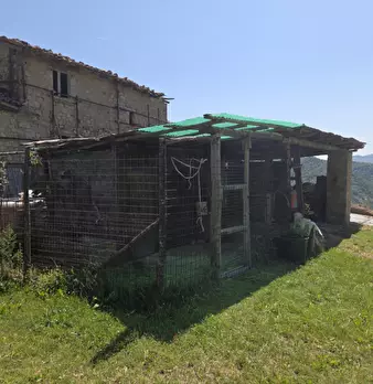 Foto annuncio 2