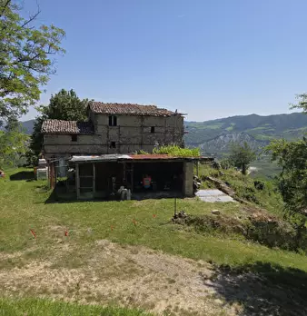 Foto annuncio 4