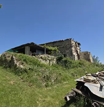 Foto annuncio 6