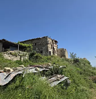Foto annuncio 7