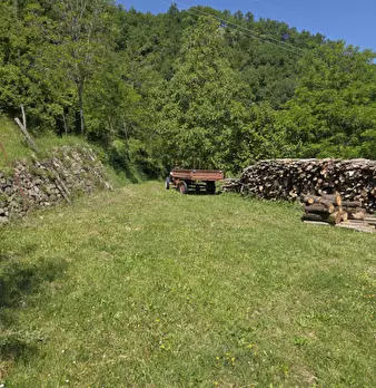 Foto annuncio 8