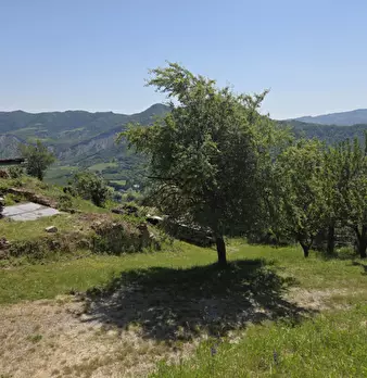 Foto annuncio 10