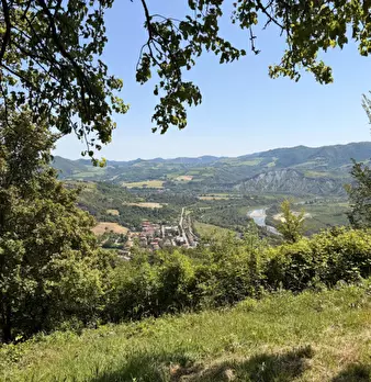 Foto annuncio 17