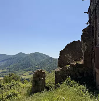 Foto annuncio 18