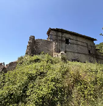 Foto annuncio 20