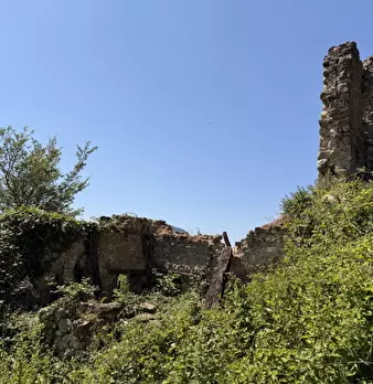 Foto annuncio 21
