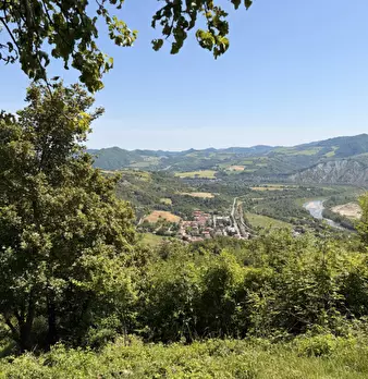 Foto annuncio 22