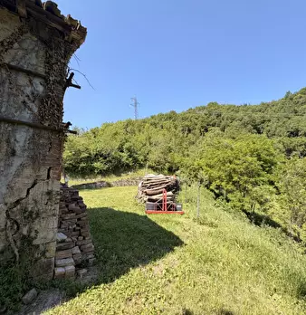 Foto annuncio 25