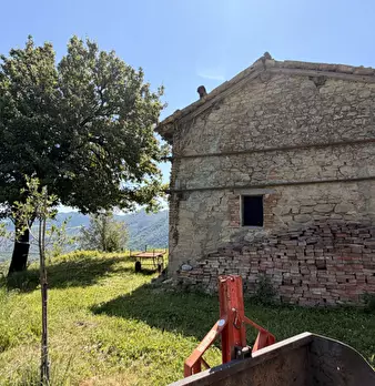 Foto annuncio 27