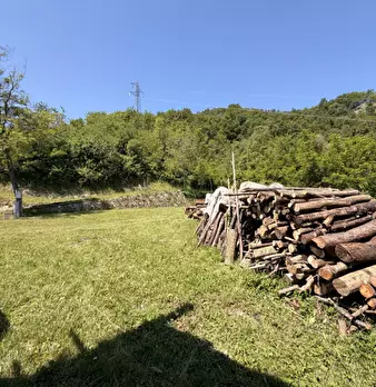 Foto annuncio 28
