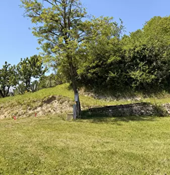 Foto annuncio 29