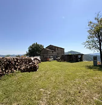 Foto annuncio 31