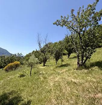 Foto annuncio 34