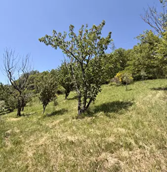 Foto annuncio 35