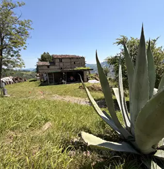 Foto annuncio 37