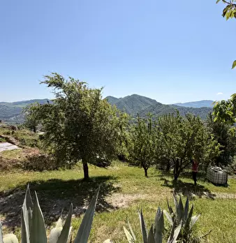 Foto annuncio 38