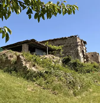 Foto annuncio 39