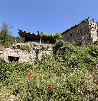 Foto annuncio 40
