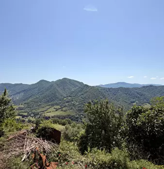 Foto annuncio 41