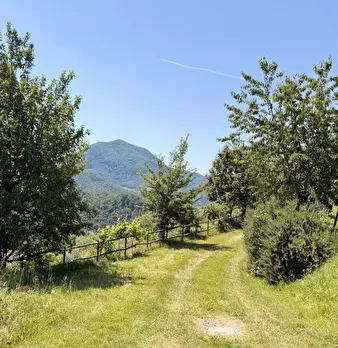 Foto annuncio 42