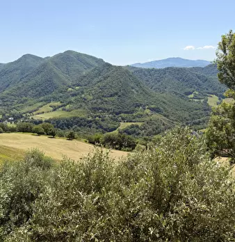 Foto annuncio 44