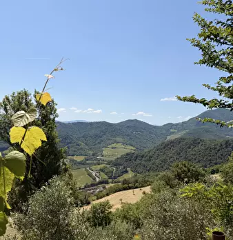 Foto annuncio 45