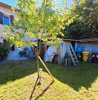 Foto annuncio 11