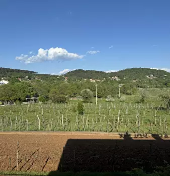 Foto annuncio 33