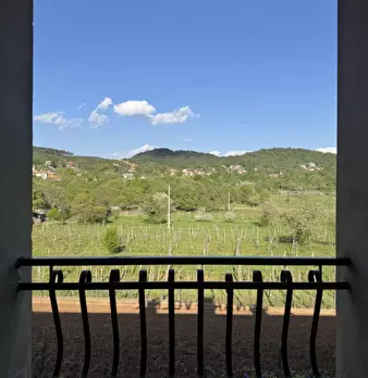 Foto annuncio 39