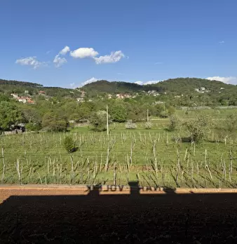 Foto annuncio 40