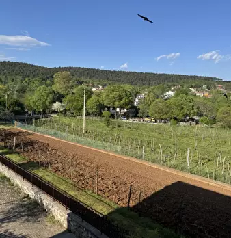 Foto annuncio 41
