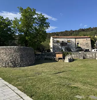 Foto annuncio 55