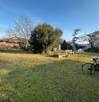 Foto annuncio 7