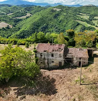 Foto annuncio 1