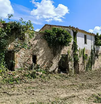 Foto annuncio 6