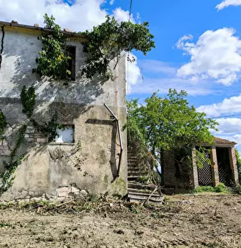 Foto annuncio 8