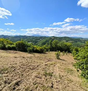 Foto annuncio 10
