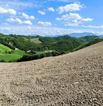Foto annuncio 11