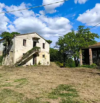 Foto annuncio 17