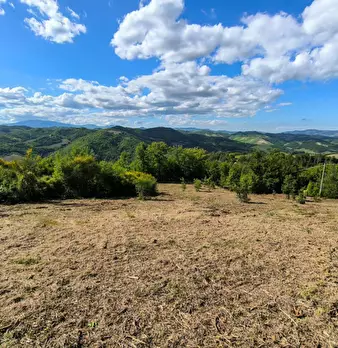 Foto annuncio 19