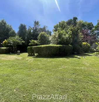 Foto annuncio 22
