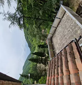 Foto annuncio 9