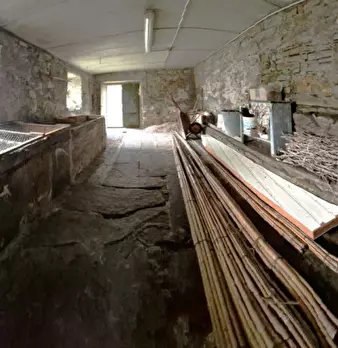 Foto annuncio 10